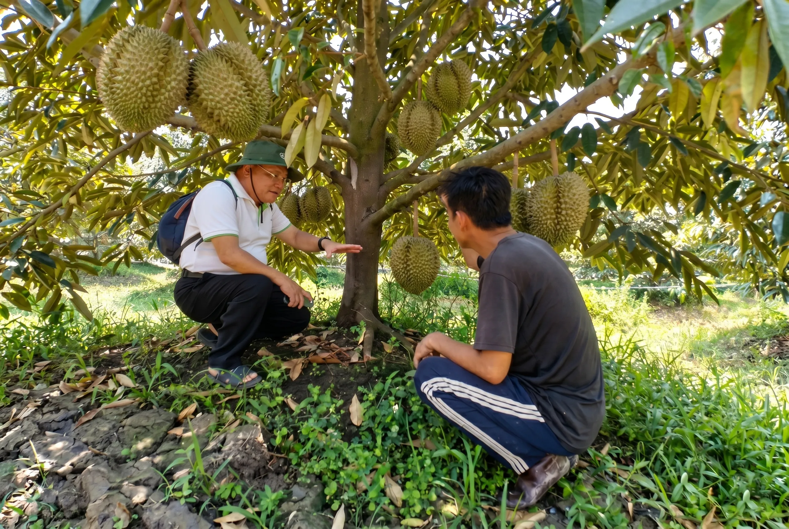 Ảnh hưởng tích cực đến nông dân và doanh nghiệp nhỏ