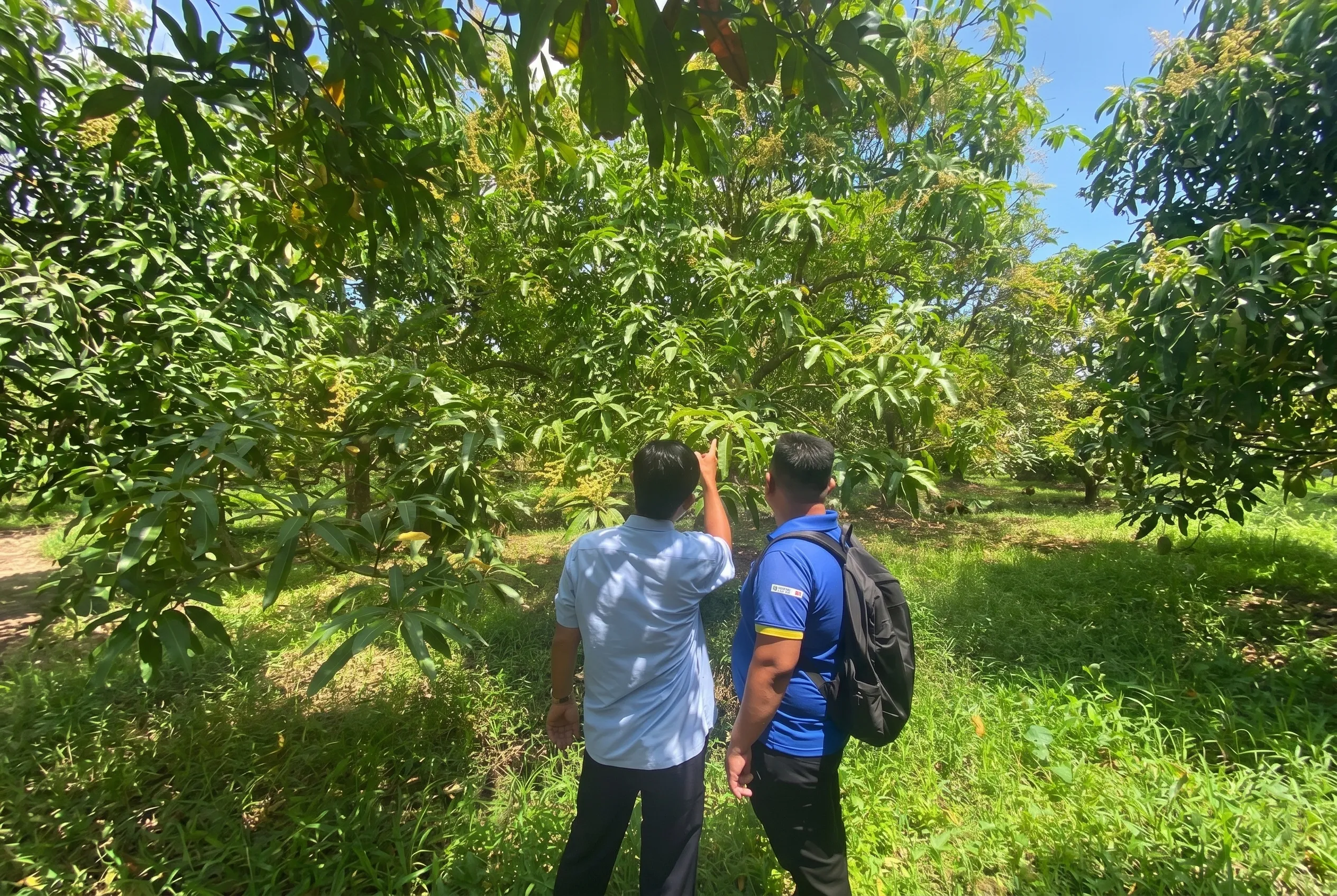 Hiểu biết chung về sàn nông sản