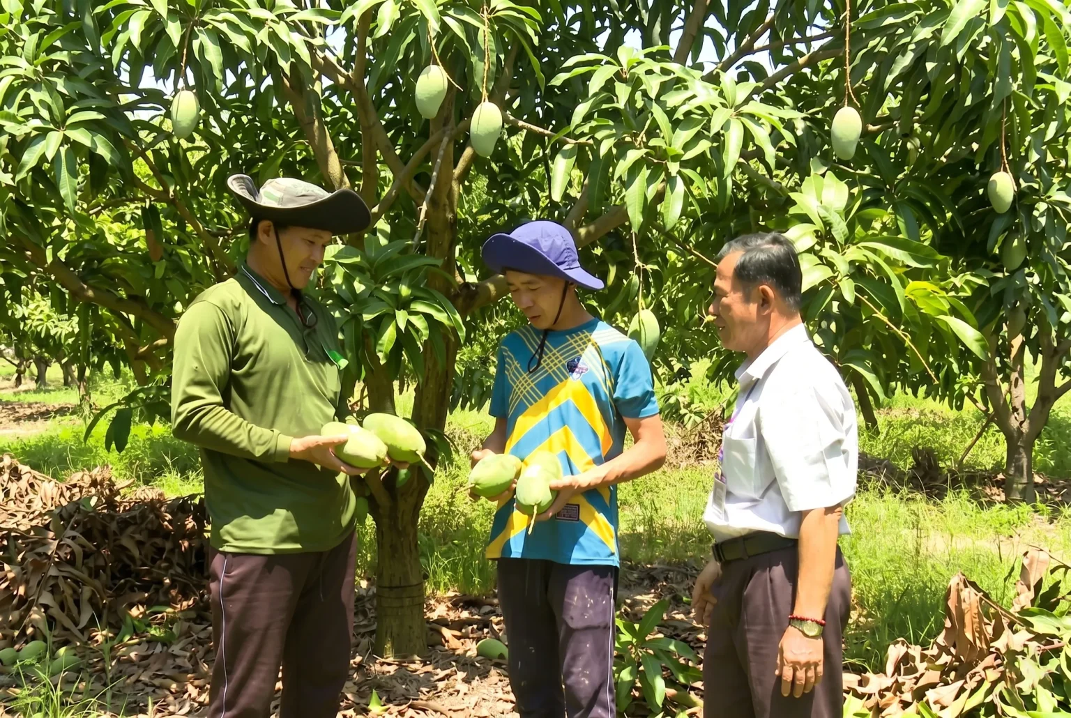 Các lưu ý pháp lý và an toàn khi bán nông sản trực tuyến