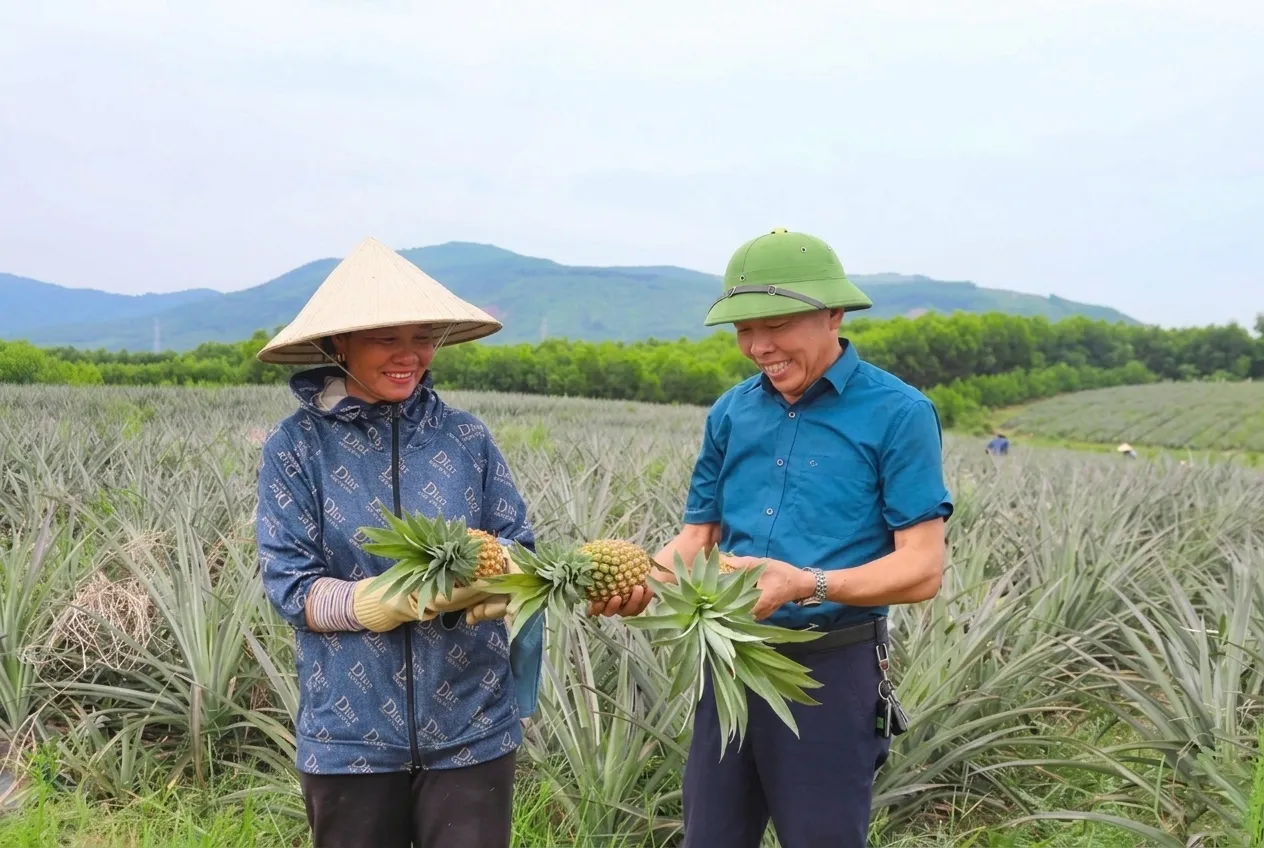 Chuẩn bị các bước ban đầu để tham gia kết nối nông nghiệp