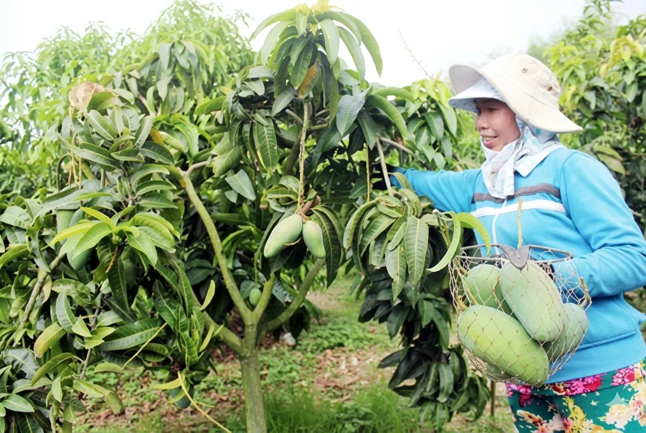 Chuẩn bị nền tảng kinh doanh online