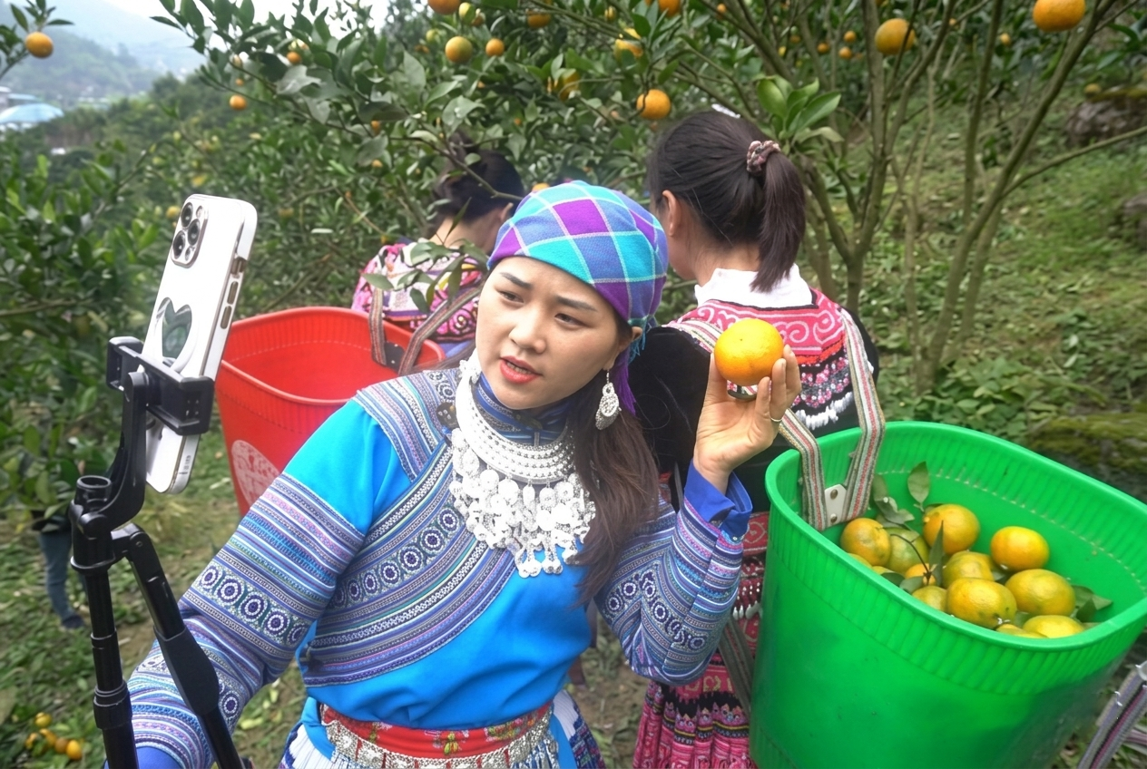 Hành trình từ đăng ký đến chốt đơn?