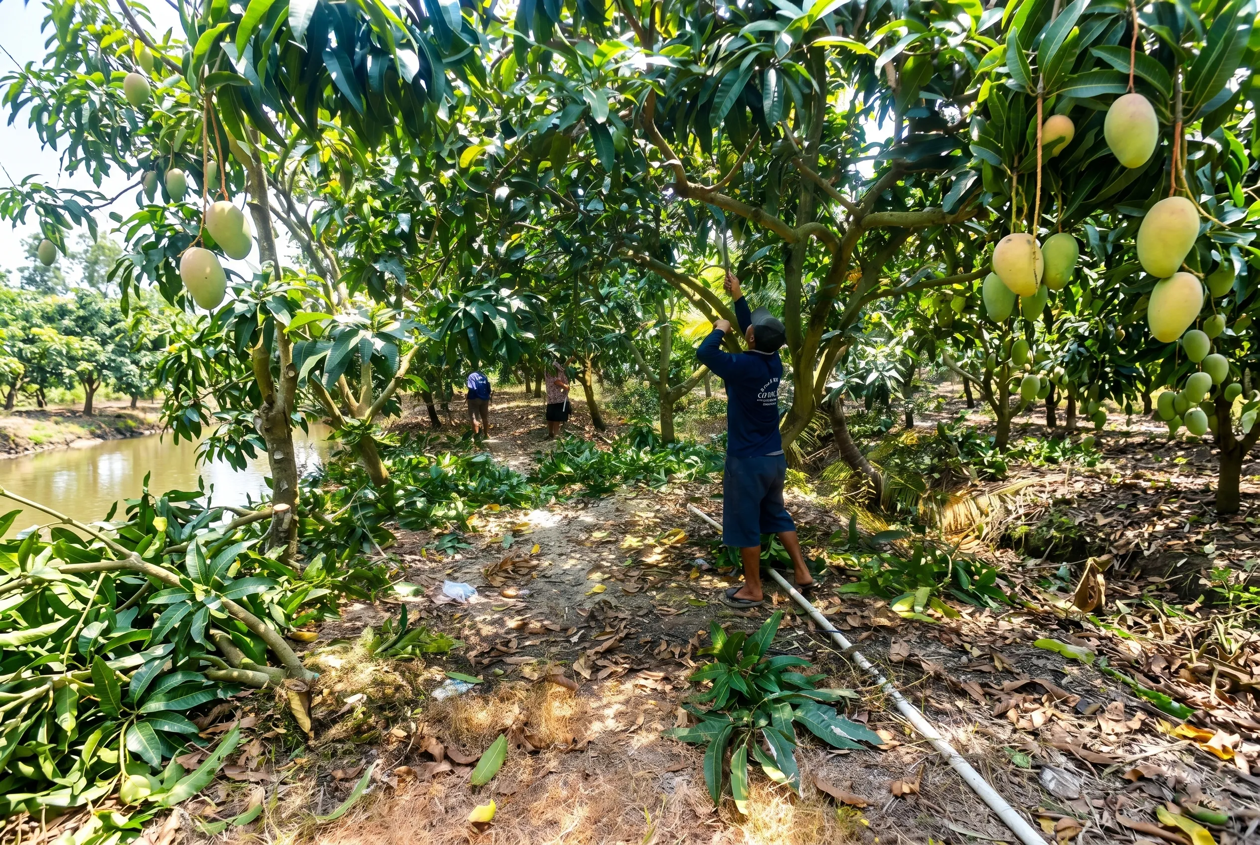 Lợi ích của nền tảng kết nối nông sản đối với các bên liên quan