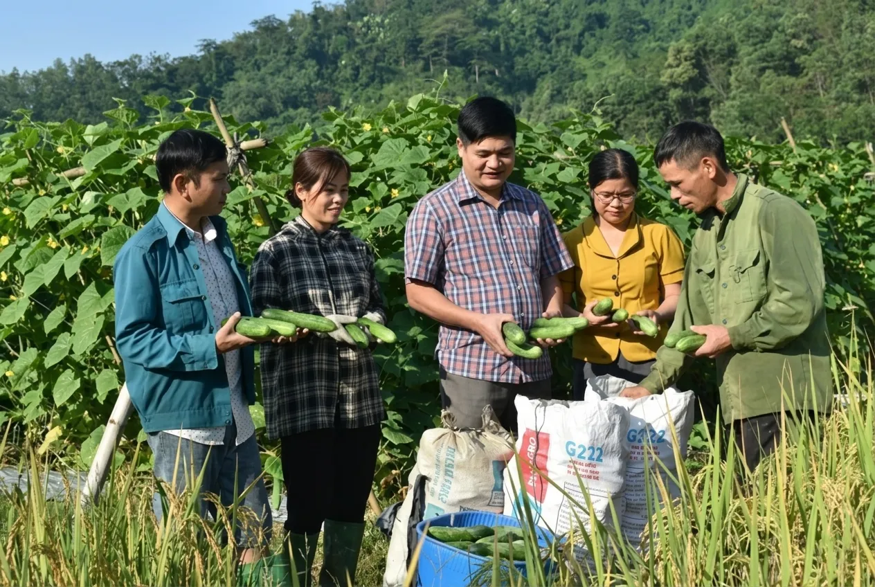 Lời khuyên dành cho những người đang lo lắng về việc tự tìm đầu ra