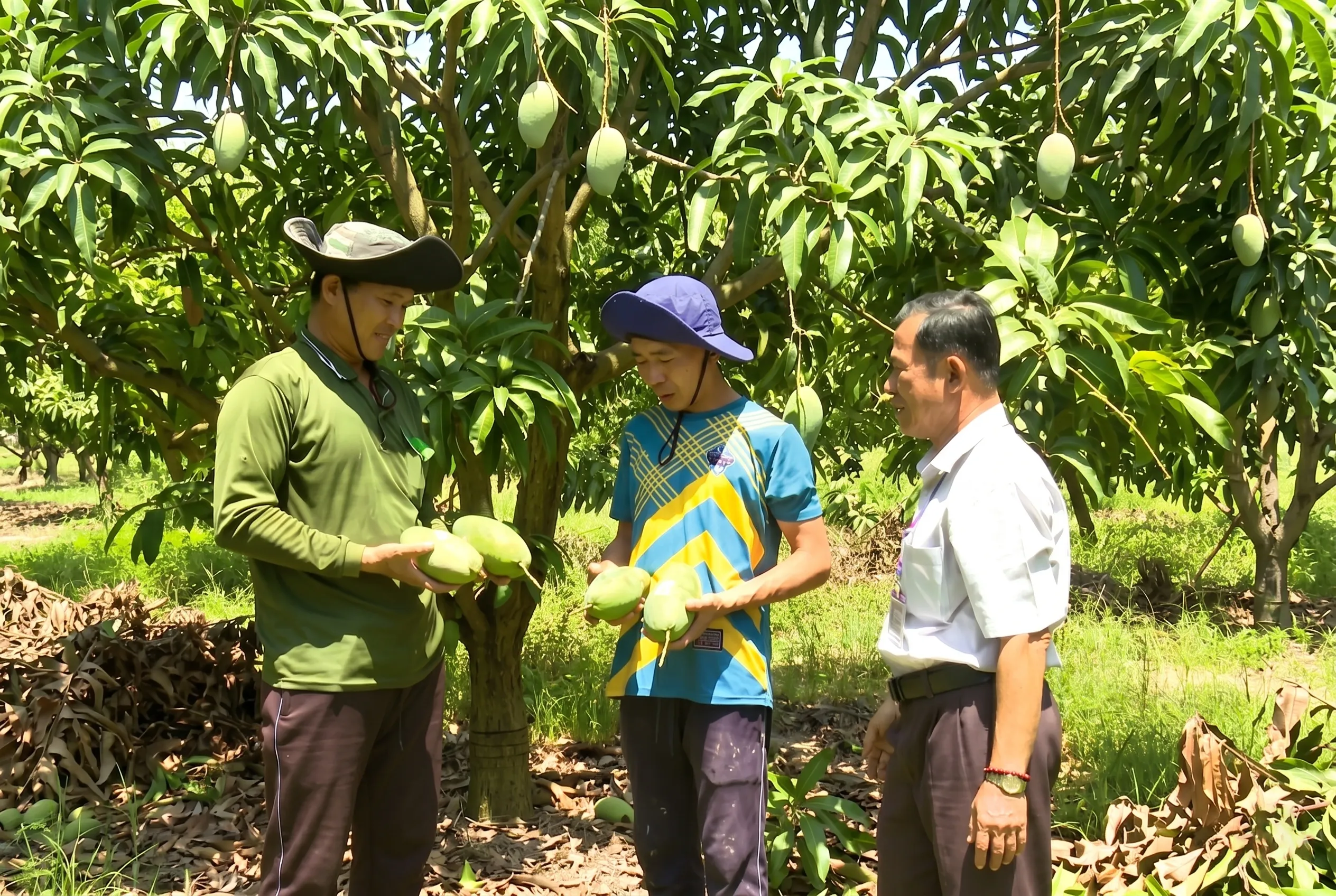 Những khó khăn thường gặp và cách khắc phục khi đăng ký kết nối nông nghiệp