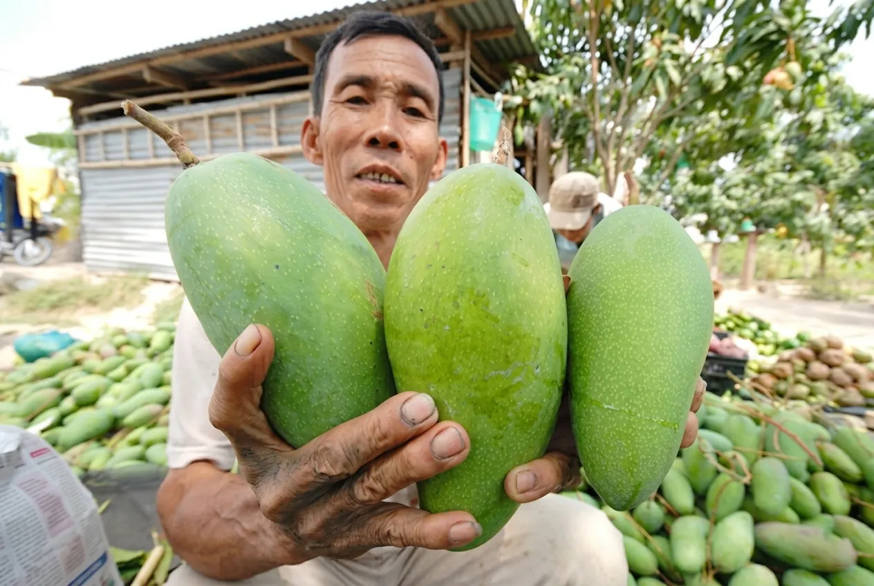 Quy trình đăng ký kết nối nông nghiệp