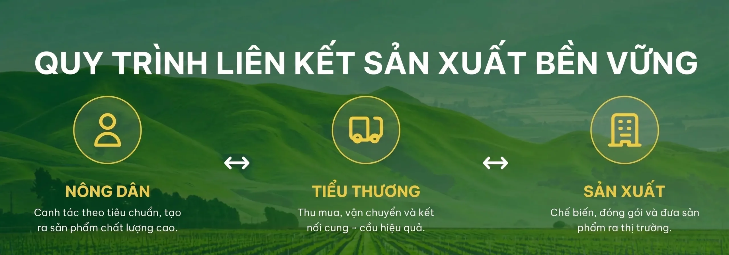Quy trình liên kết sản xuất bền vững
