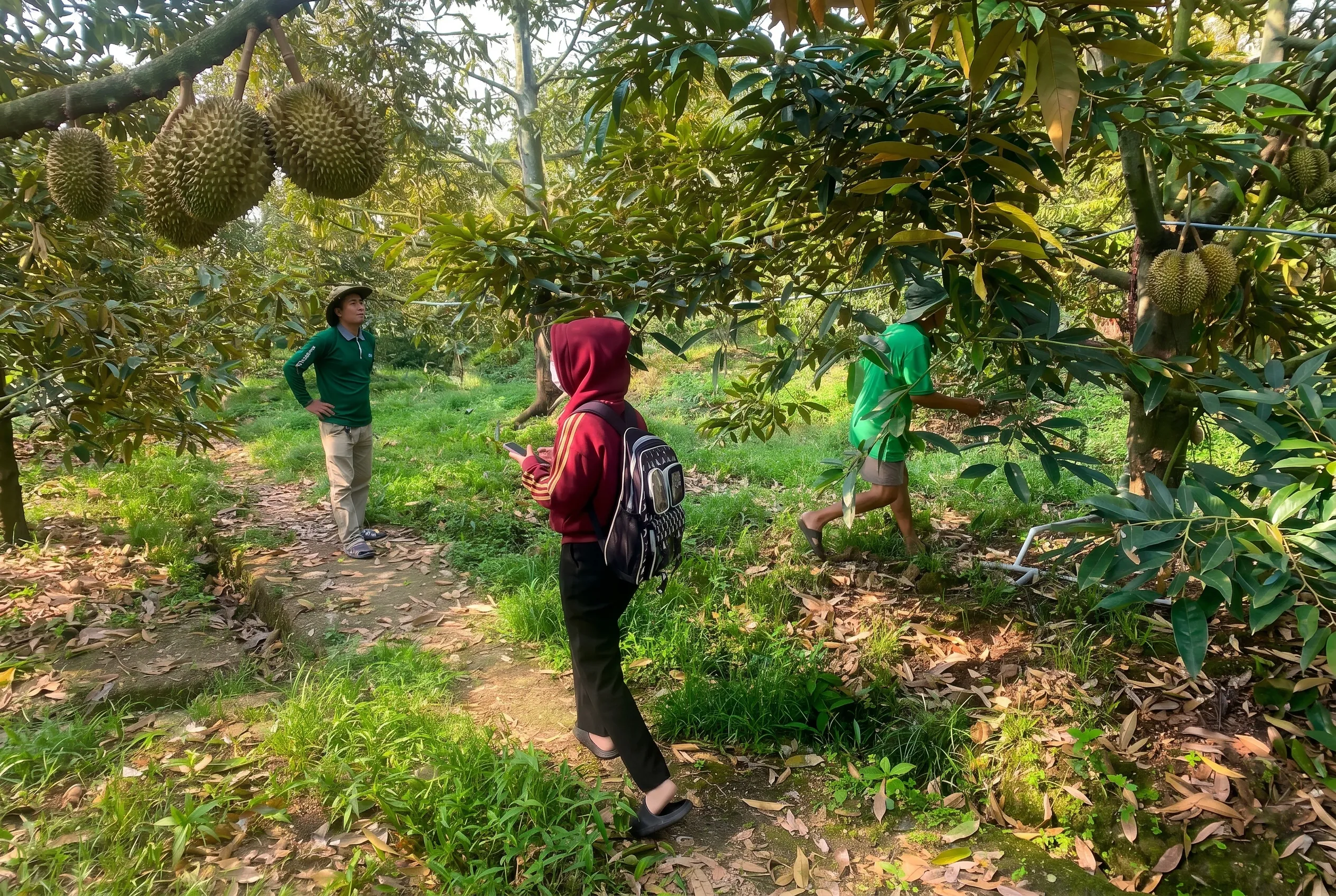 Thách thức và đề xuất để tối đa hóa lợi ích từ sàn nông sản