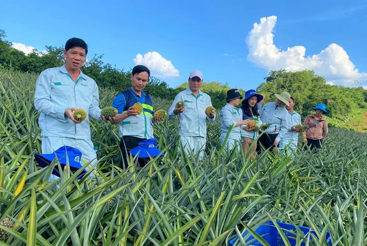 Tham gia xây dựng và duy trì mối liên kết hợp tác