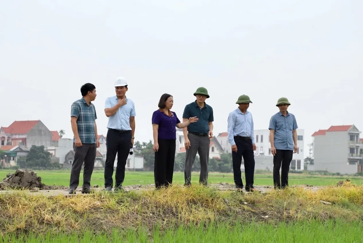 Tình hình thời tiết và tác động của cơn bão đối với hoạt động nông nghiệp tại Hải Phòng