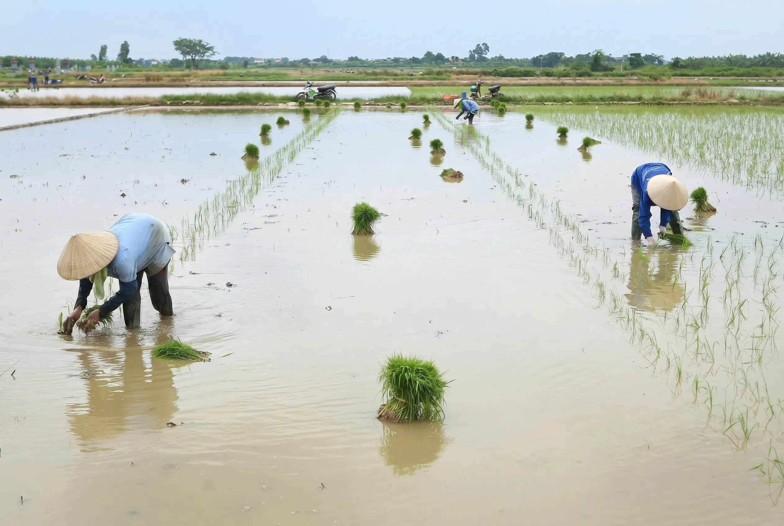 Vai trò của các cơ quan chức năng và cộng đồng nông nghiệp