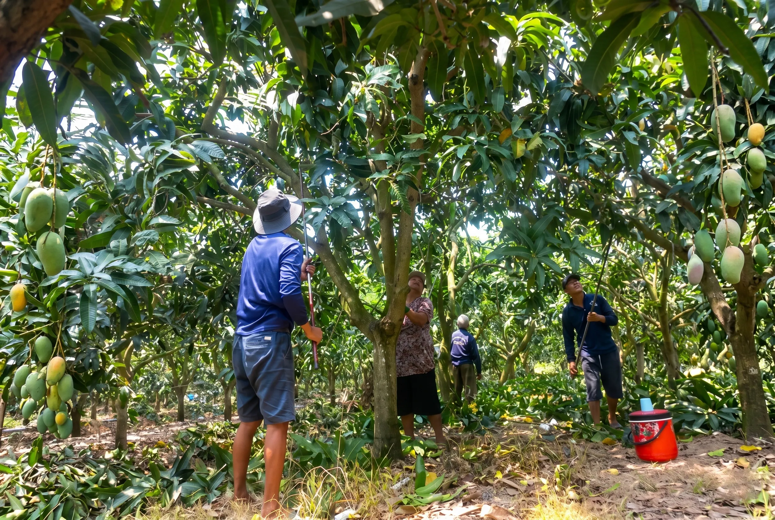 Vai trò của công nghệ trong việc tối ưu hóa lợi ích từ sàn nông sản