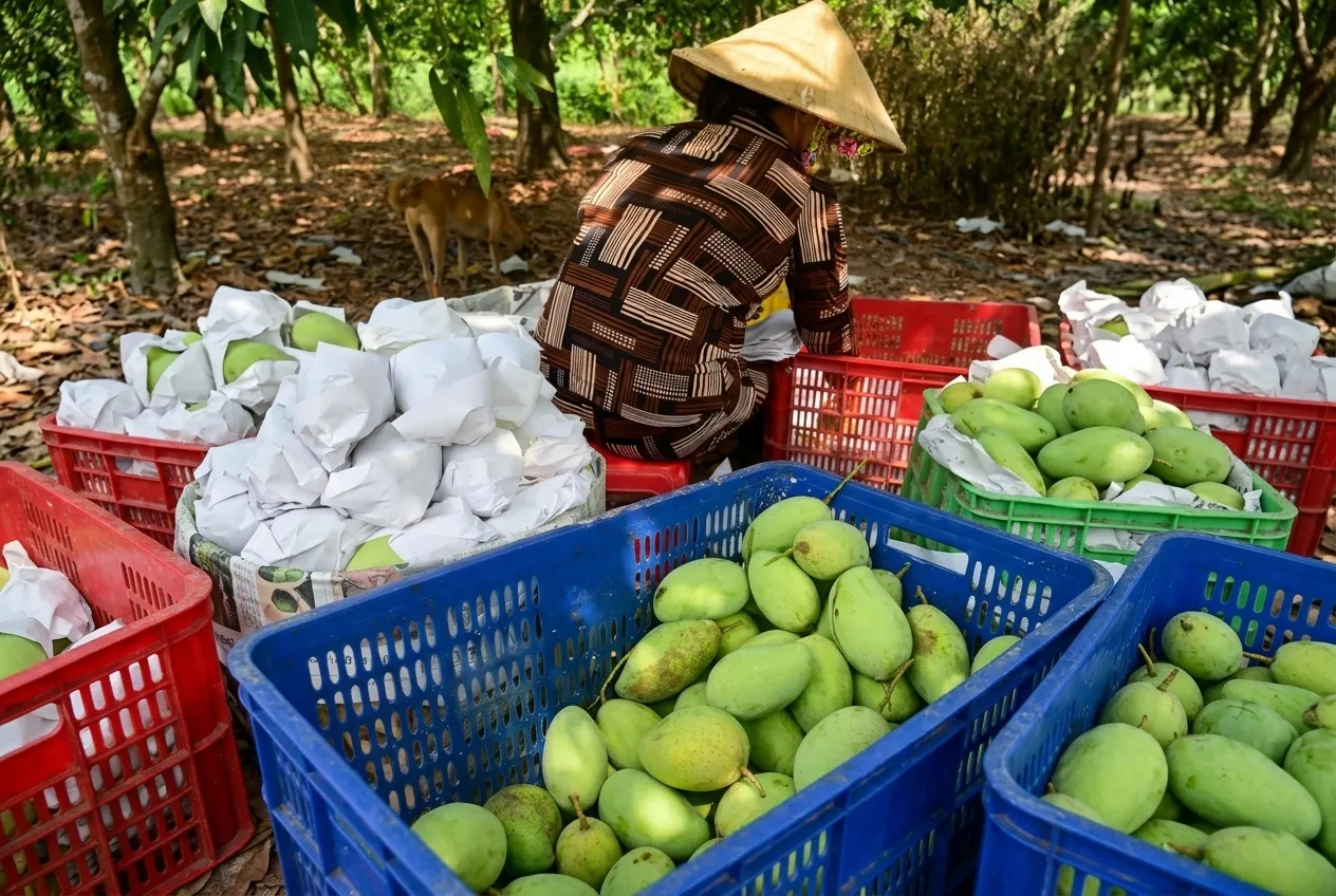 Khó khăn khi mua hàng qua chợ đầu mối?