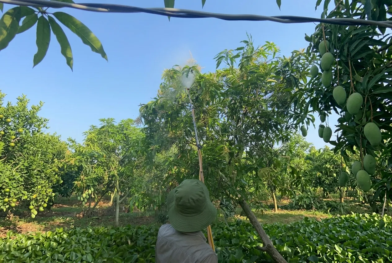 Ảnh hưởng của các khó khăn đến doanh nghiệp và người tiêu dùng