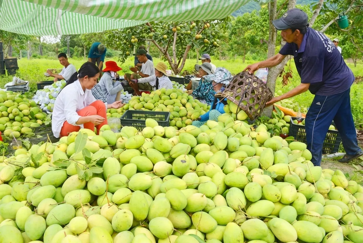 Các giải pháp thúc đẩy đầu ra nông sản ổn định