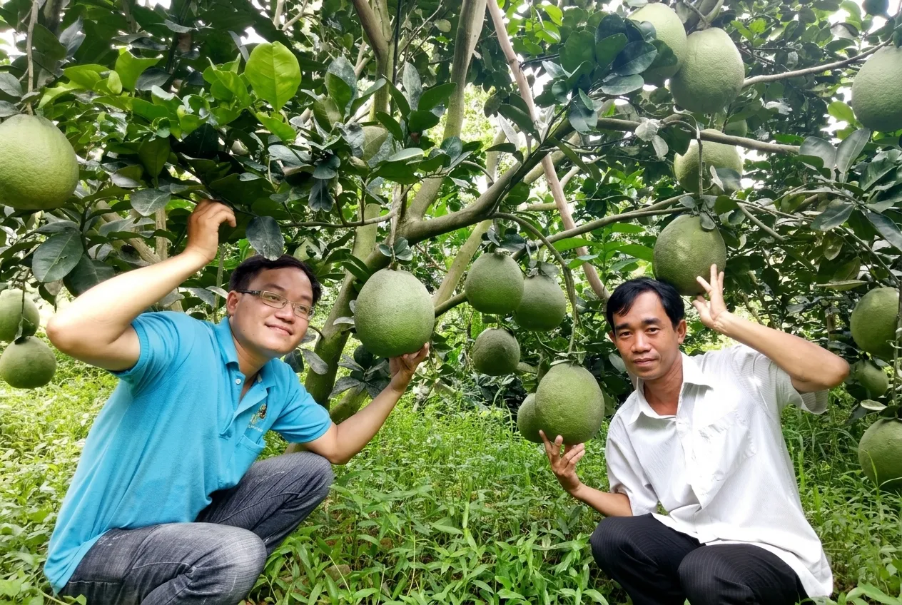 Các loại nền tảng mua bán nông sản phổ biến
