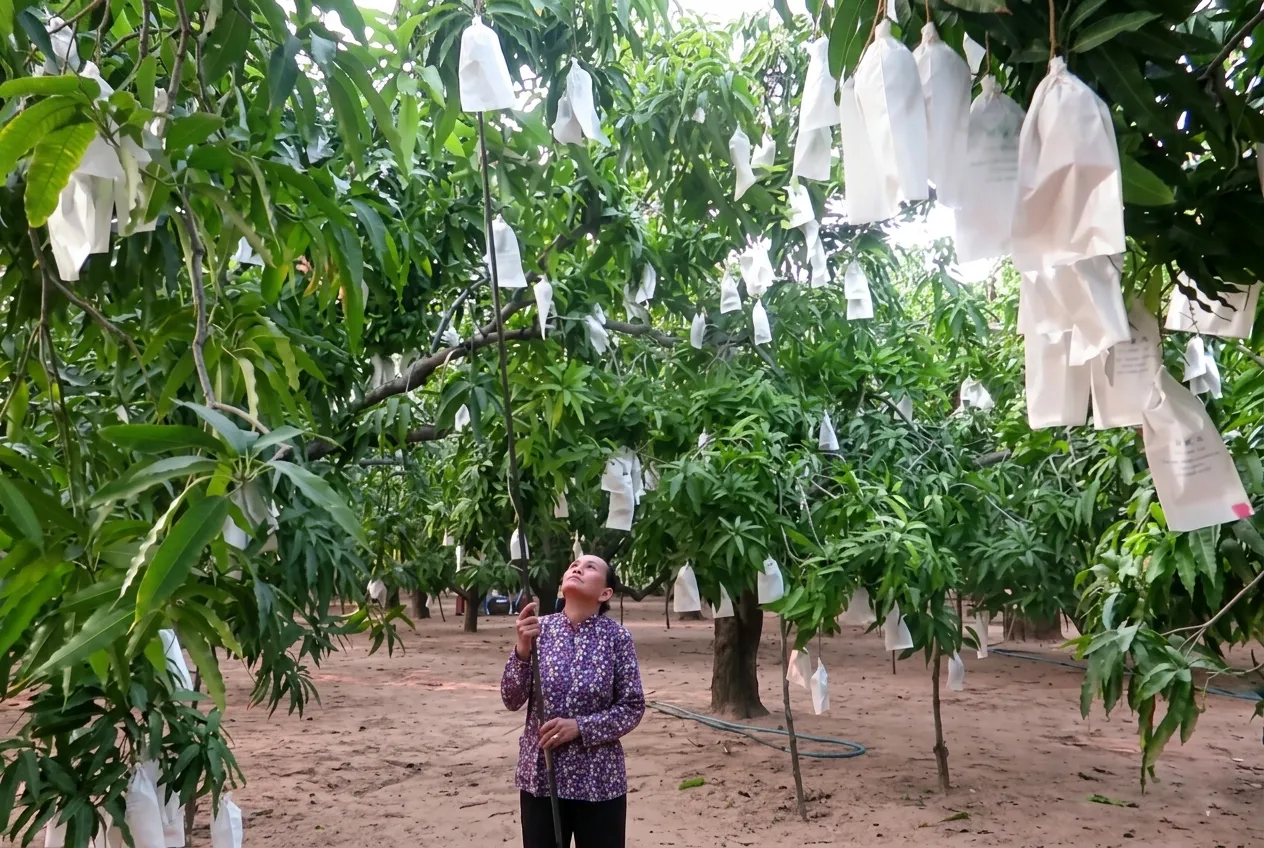 Các phương pháp tìm kiếm nguồn hàng nông sản giá tốt