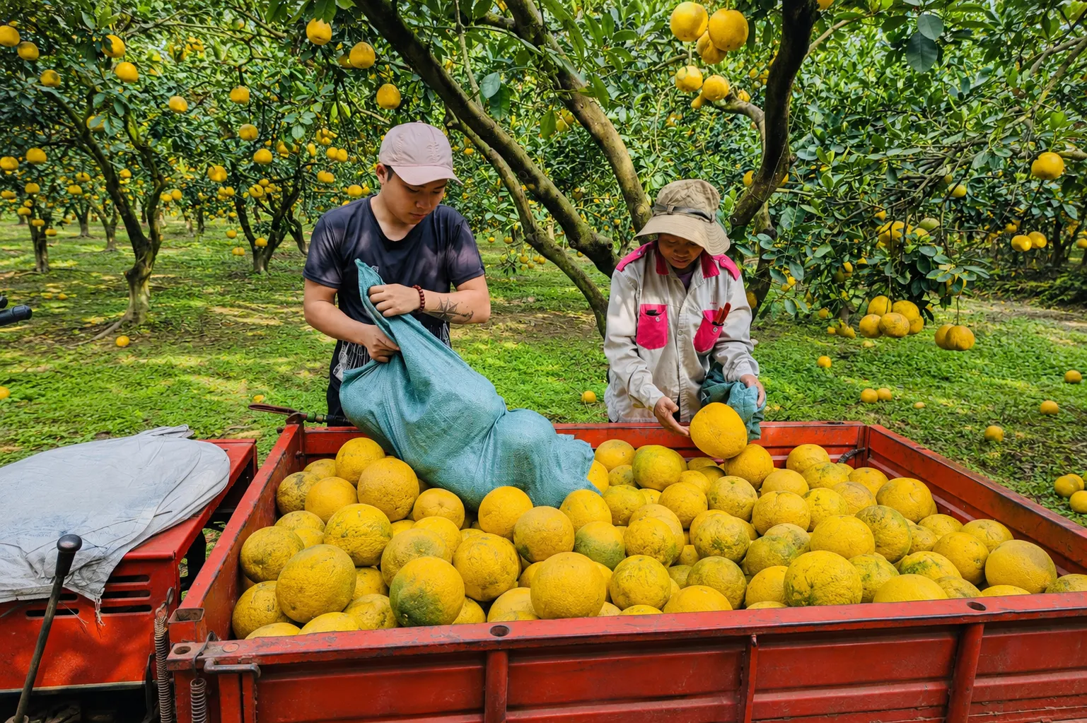 Giải pháp hạn chế khó khăn khi tìm mối hàng nông sản