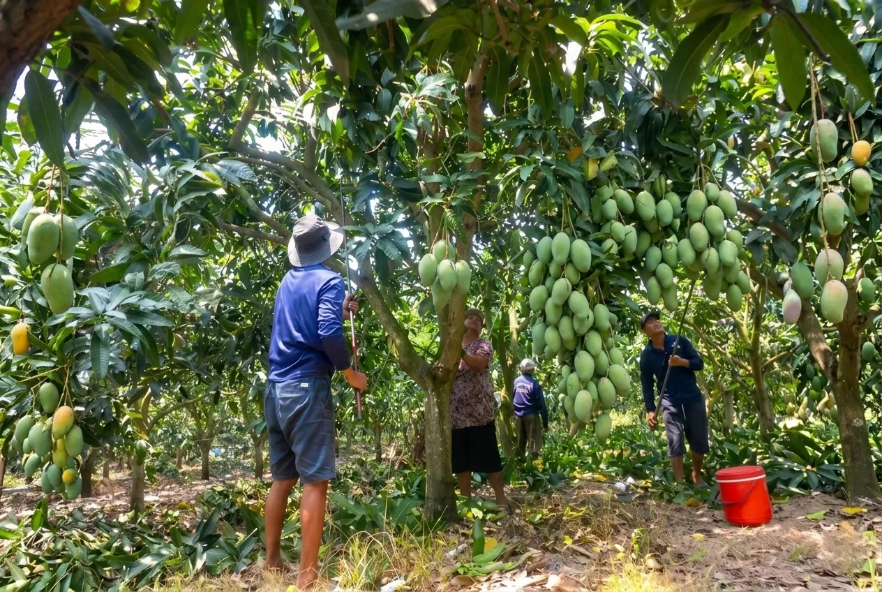 Giới thiệu chung về nguồn hàng nông sản giá tốt