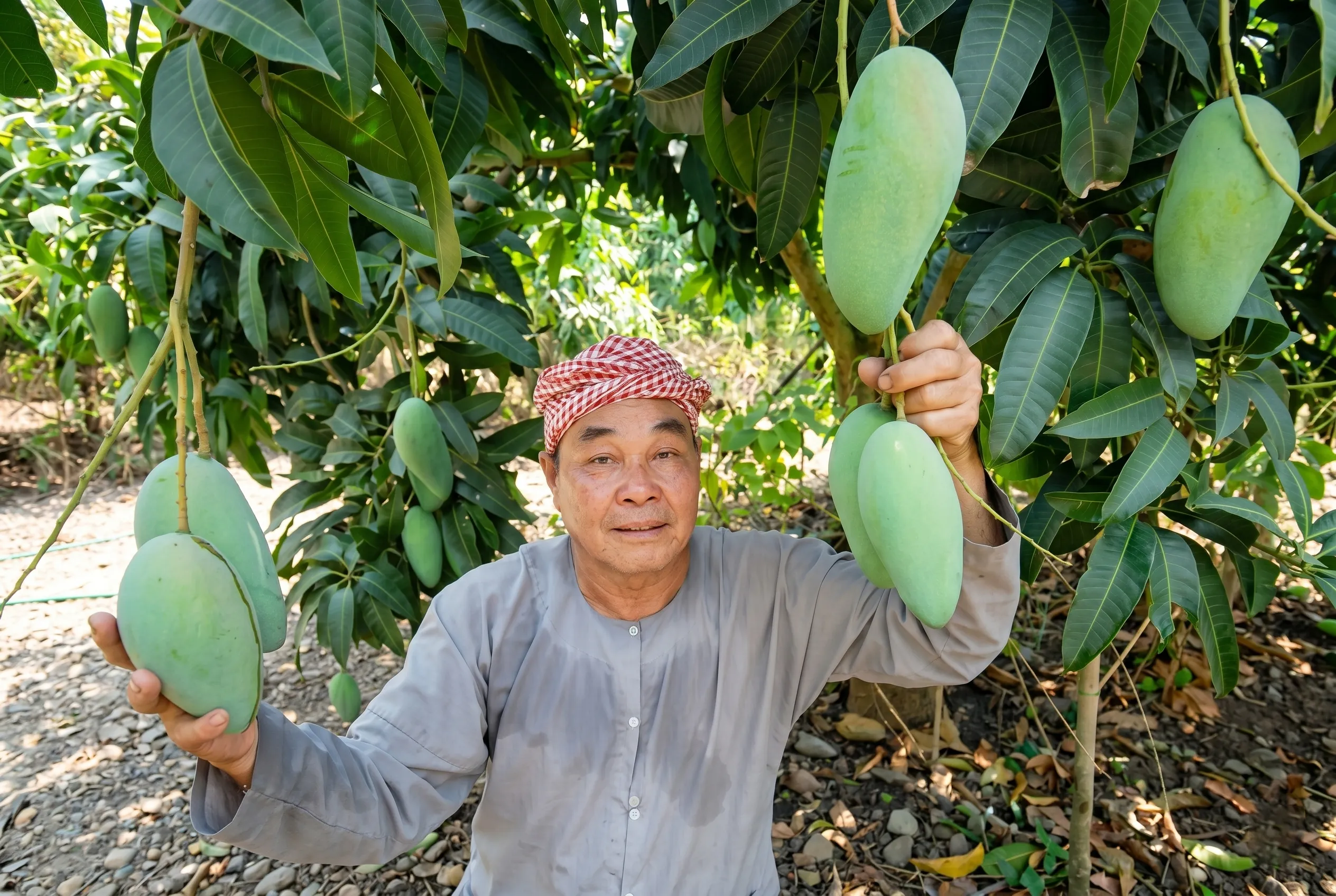 Giới thiệu về bán nông sản không qua trung gian