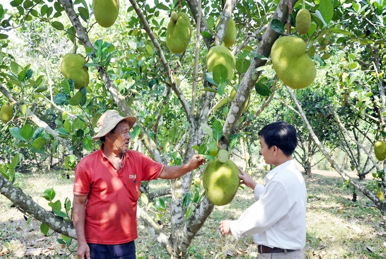 Giới thiệu về nền tảng kết nối nông sản