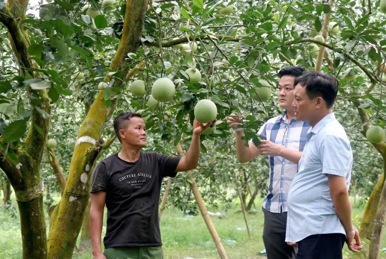 Hiểu rõ nhu cầu và xu hướng thị trường nông sản hiện nay