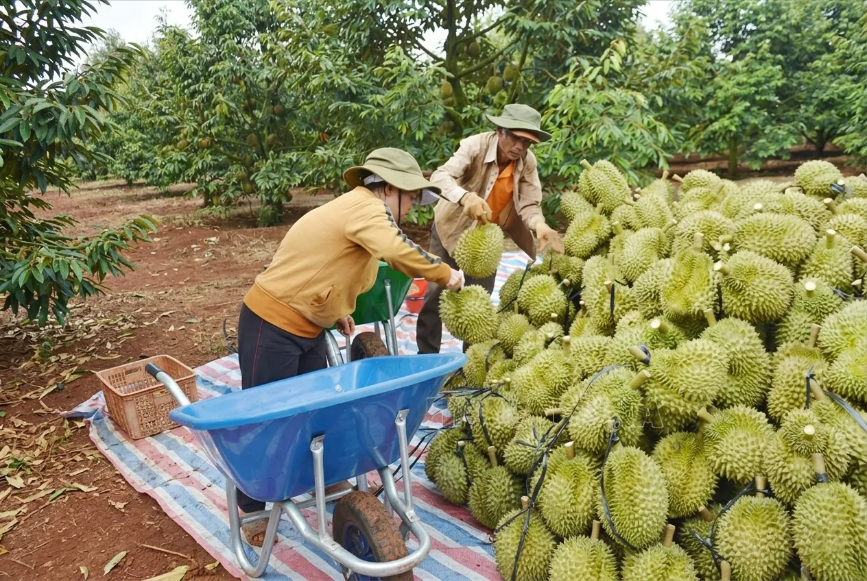 Hiểu rõ thị trường và xác định đúng mục tiêu tiêu thụ