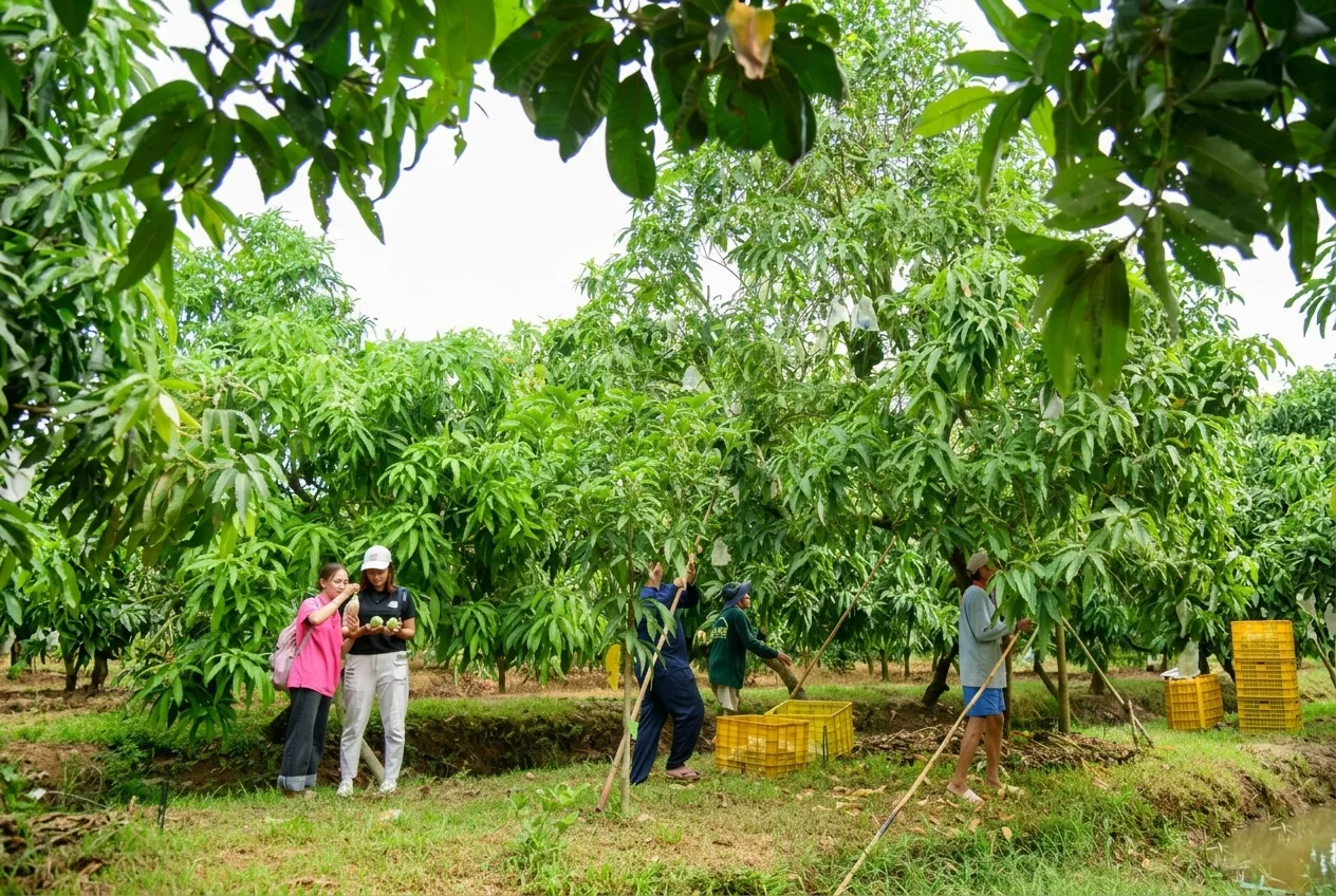 Kết luận và đề xuất hướng phát triển tương lai
