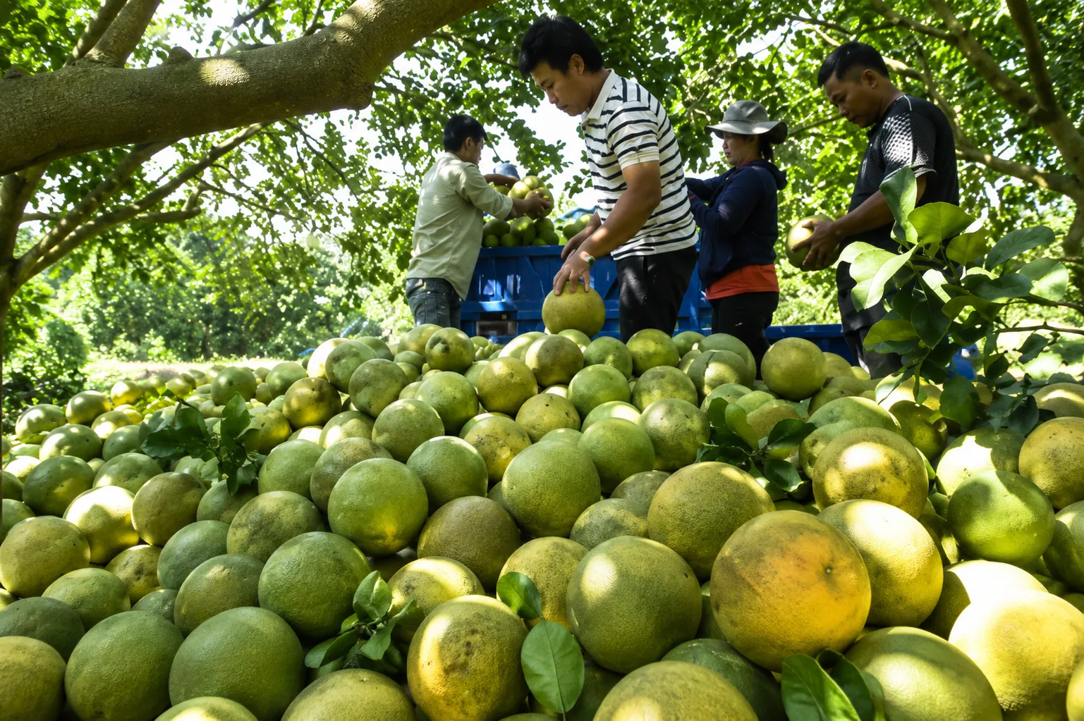 Những nguyên nhân gây ra khó khăn khi tìm mối hàng nông sản