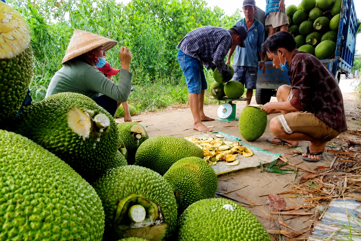 Quy trình mua hàng và thanh toán