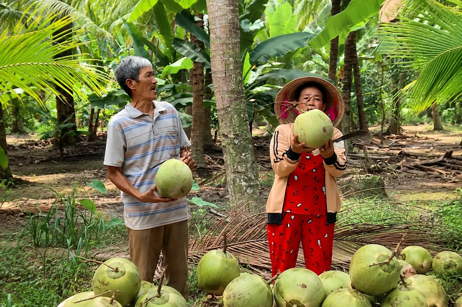 Tiêu chí xác định nguồn nông sản uy tín, giá tốt
