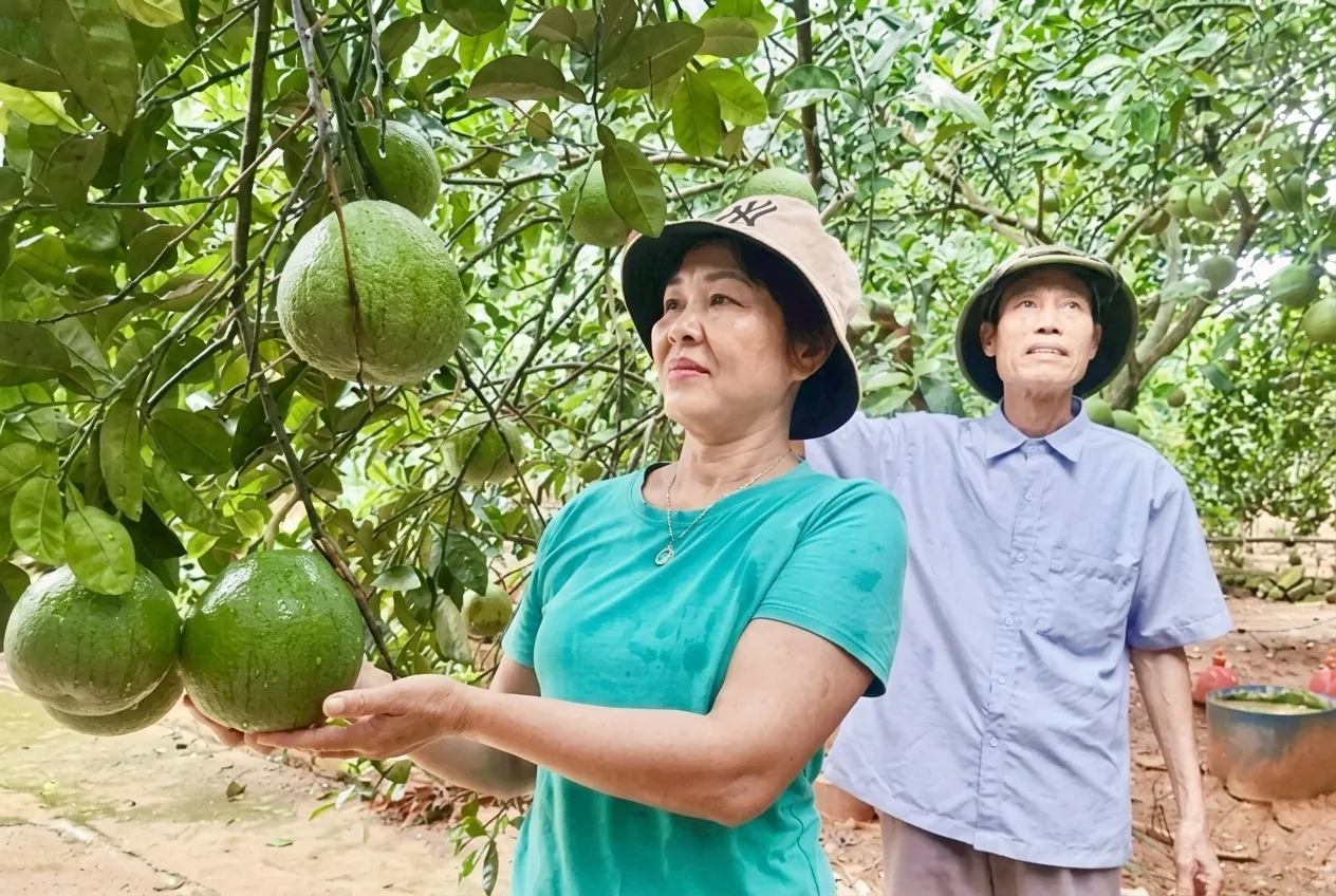 Vai trò của nền tảng trong nâng cao giá trị nông sản